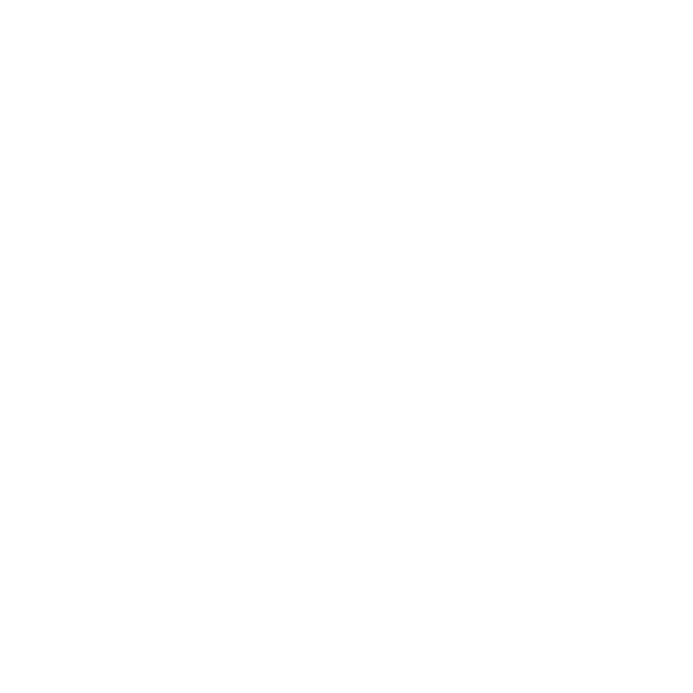 Kick icon
