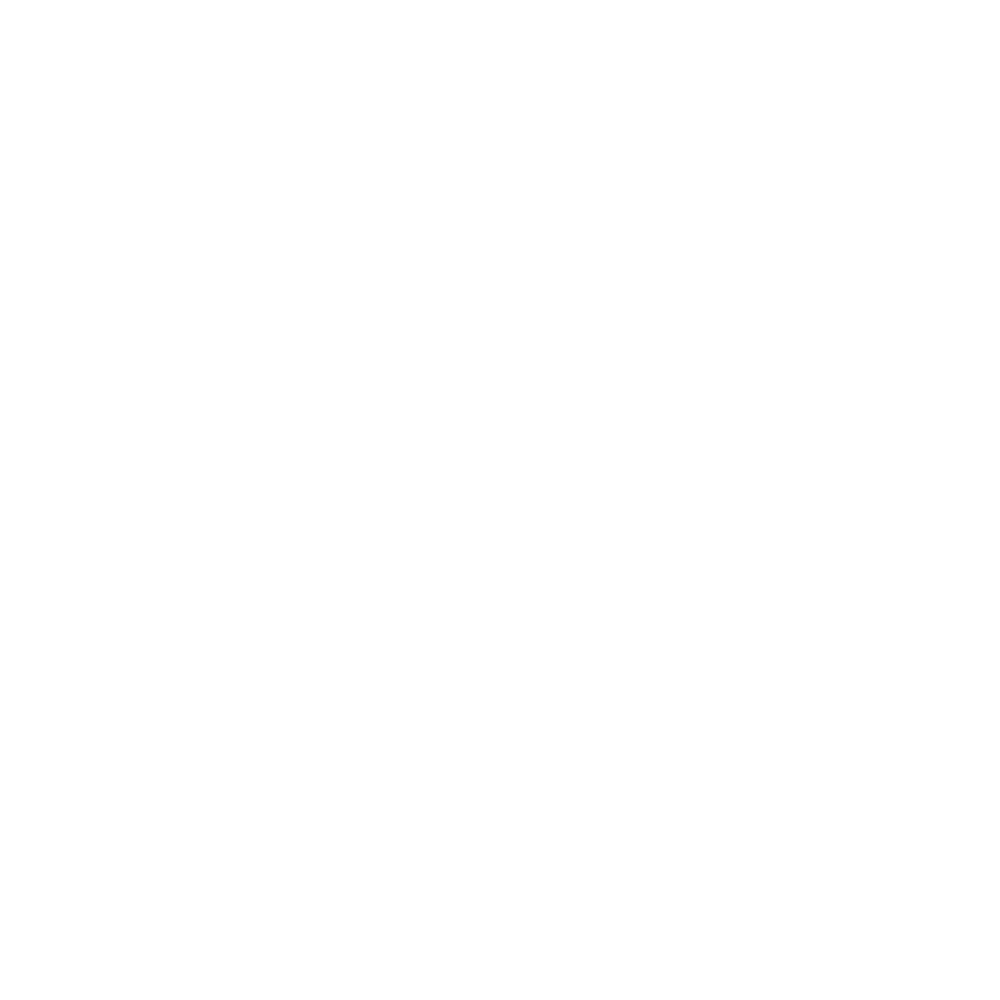 Roblox icon